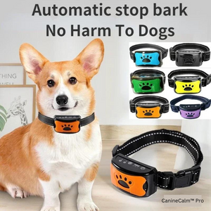 CanineCalm™ Pro - FREE Shipping Today Only!