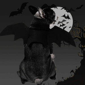 Bat-Tastic Pet Wings Costume Halloween for Cats and Dogs