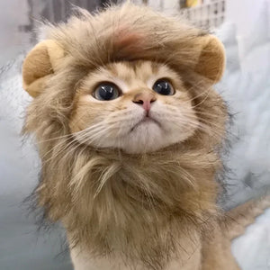 Feline King Lion Mane Wig Costume for Cats and Small Dogs