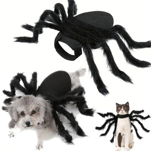 Spooky Spider Pet Outfit