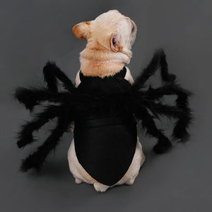 Spooky Spider Pet Outfit