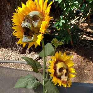 Cursed Sunflower Skeleton - BUY MORE & SAVE