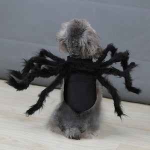 Spooky Spider Pet Outfit