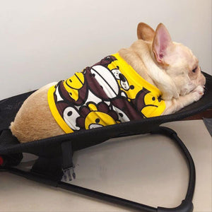 Portable Rocker For Pets