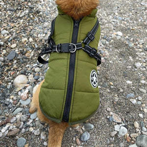 WarmWalk™ Dog Jacket