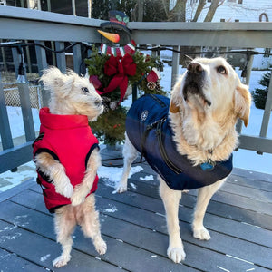 WarmWalk™ Dog Jacket