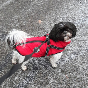 WarmWalk™ Dog Jacket