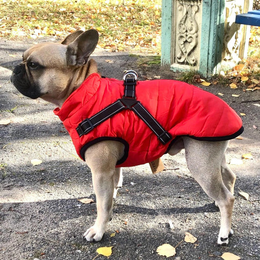 WarmWalk™ Dog Jacket