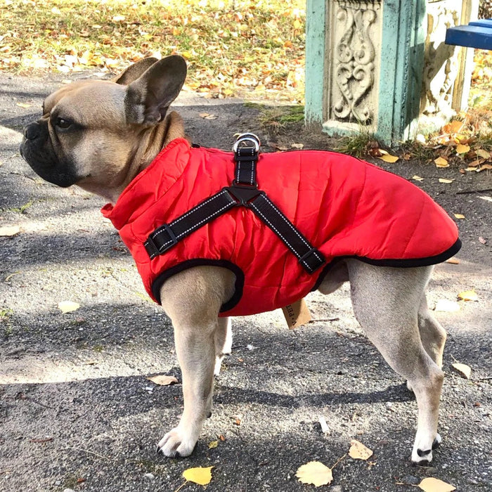 WarmWalk™ Dog Jacket