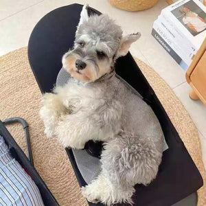 Portable Rocker For Pets